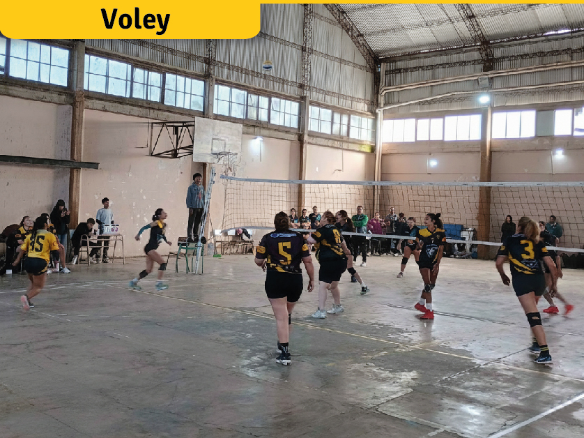 Vóley Inferiores y Mayores