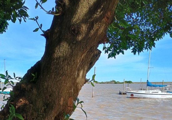 Vista de la ría en Tapera de López