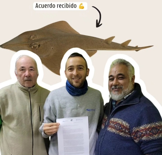 El pez guitarra queda fuera del Torneo de Pesca