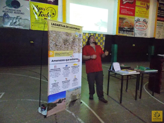 Charla lagartija de las dunas
