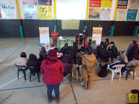 Charla lagartija de las dunas