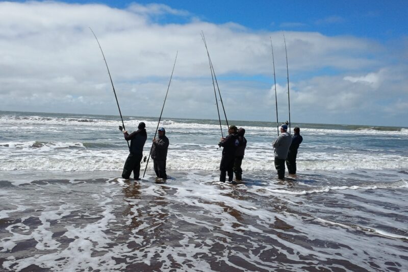 El desafío de recuperar el tradicional concurso de pesca de la Corvina Negra